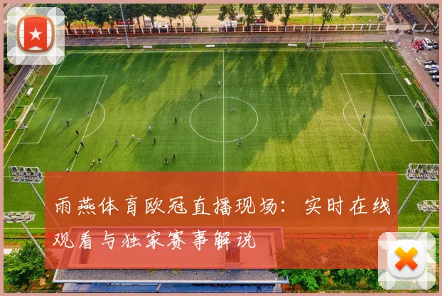 雨燕体育欧冠直播现场:实时在线观看与独家赛事解说