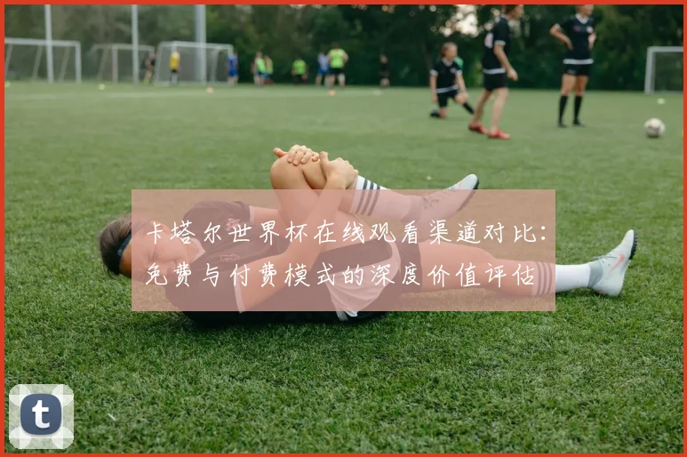 卡塔尔世界杯在线观看渠道对比：免费与付费模式的深度价值评估