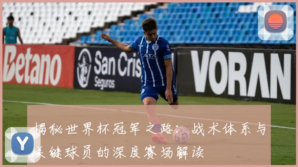 揭秘世界杯冠军之路：战术体系与关键球员的深度赛场解读