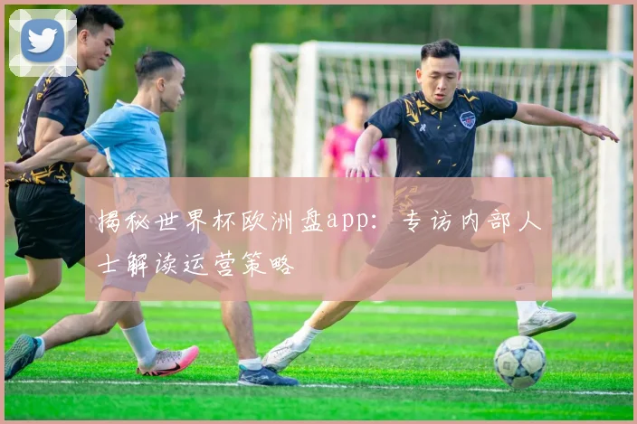 揭秘世界杯欧洲盘app：专访内部人士解读运营策略
