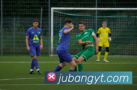 云开体育app官方下载APP 封面图